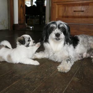 Meet your Posher, Lyn